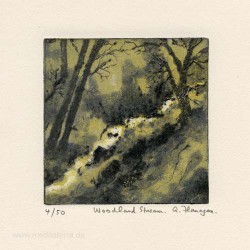 Aidan Flanagan 3, Ireland, Woodland Stream, Carborundum and Dry Point, 10 x 10 cm, 2015