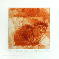 Eleanora Hofer 2, South Africa, Fugitive Memory V, Solar Etching, Blind Embossing, 10,5 x 10,5 cm, 2012