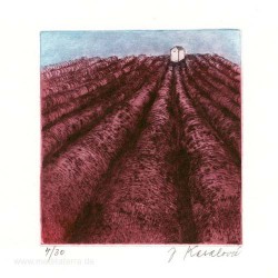 Jana Kasalova 3, Czech Republic, Lavender Field, Drypoint, 11,5 x 11 cm, 2014