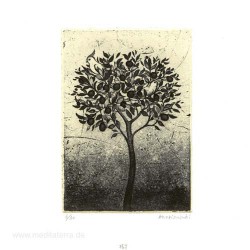Kaori Suzuki 2, Japan, The Tree, Copper Plate Print, 7,8 x 11 cm, 2015