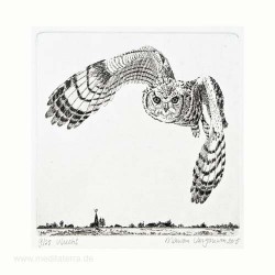 Marian Vergouwen1, Netherlands, Vlucht Flight Lijnets, Etching, 10 x 10 cm, 2015