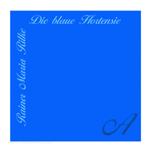 Stimuli, Rilke: Blaue Hortensie