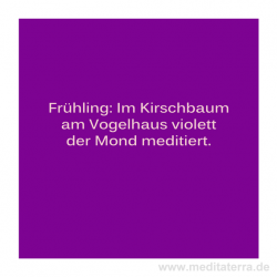 Haiku-Gedicht, Kirschbaum Gabriele Walter