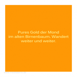 Haiku-Gedicht, . Birnbaum und Mond, . Gabriele Walter