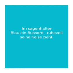 Haiku-Gedicht, Bussard, Gabriele Walter