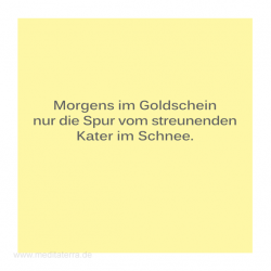 Haiku-Gedicht, Katerspur, Gabriele Walter