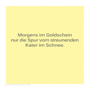 Haiku-Gedicht, Katerspur, Gabriele Walter