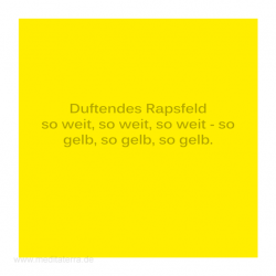 Haiku-Gedicht, Rapsfeld, Gabriele Walter