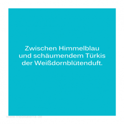 Haiku-Gedicht, Weißdornblütenduft, Gabriele Walter