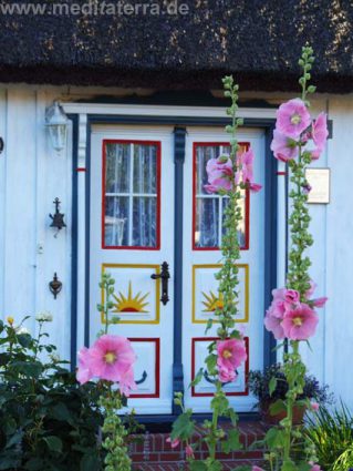 Holzhaustür mit blühenden Malven