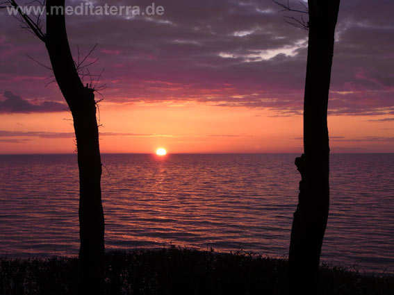 Meer, Morgenrot, zwei Bäume