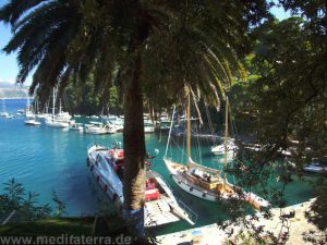 Die großen Yachten dürfen in Portofino nicht fehlen.