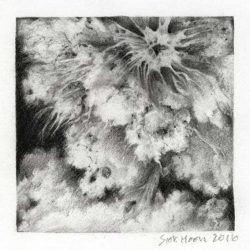 Ng Siok Hoon 1, Singapore, Cloudscape I, 2016, Charcoal, 13 x 13 cm