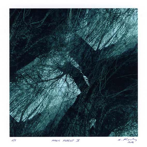 Serge Koch 2, Luxembourg, Magic Forest 2, 2016, Digital Print, 13 x 13 cm