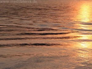 Der Rhein im abendlichen Licht