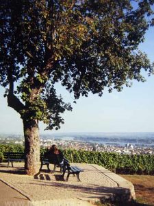 Goethe-Blick am Rhein