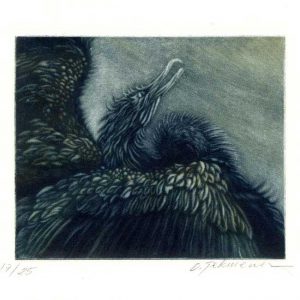 Oya Pekmener 1, Turkey, Cormorant, 2017, Mezzotint Print, 15 x 12 cm