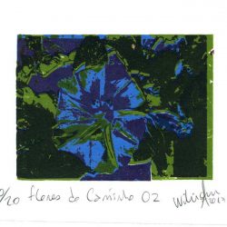 William A. 1, Brasil, Flores do Caminho 01, 2017, Serigraphy, 16 x 18 cm