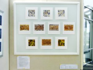 Eleanora Hofer, Südafrika: Zehn kleinformatige Bilder in der Ausstellung „16 mal Kunst“ in Weißenthurm am Rhein
