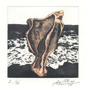 Asuna Yamauchi 1, Japan, Pale Pink Bones: Sea 3, 2017, Etching, Aquatint, 10 x 10 cm