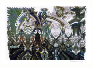 Gerald Hushlak 2, Canada, Spirits of the Clearcut #2, 2019, Digital Print, 20 x 28 cm