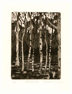 Gerhardt Gallagher 2, Ireland, Ash Grove, 2014, Aquatint Etching, 18 x 25 cm