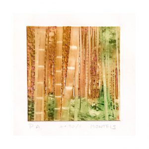 Julia Sanchez 2, Spain, Bambu-90, 2017, Photogravure, 18,5 x 24,5 cm