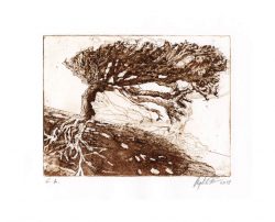 Sieglinde Ferchner 1, Austria, Roots - Verwurzelt, 2018, Etching, Aquatint, 28,5 x 20 cm