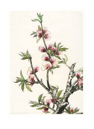 Sirkka Laakkonen, 1, Finland, Spring, 2012, Chinese Brush Painting, 20 x 29,7 cm