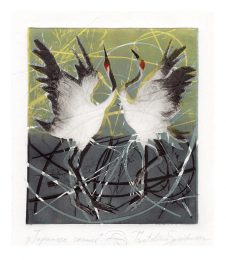Tsvetelina Spiridonova 3, Bulgaria, Japanese Cranes, 2018, Monotone, Dry Point Needle, 27 x 20 cm
