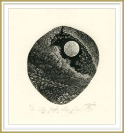 Atsushi Matsuoka 1, Japan, The Night Sky Gem, 2017, Wood Engraving, 11,7 x 10,4 cm