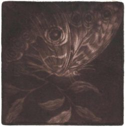 Oya Pekmener, Turkey, Butterfly, 2017, mezzotint, 12,5 x 12,5 cm