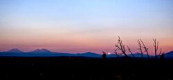 Kay Larkin, USA, Moonset, 2020, Photograph, 23 x 66 cm