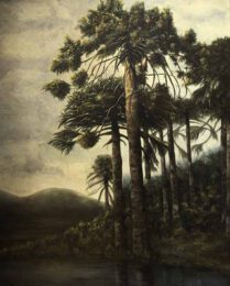 Roxana Werner, Chile, Araucarias, 2000, oil on canvas, 100 x 0,81 cm