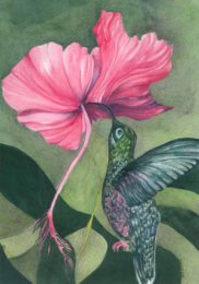Betty Collier, Australia, Sweet Nectar, 2021, watercolour on watercolour paper, 29 x 21 cm
