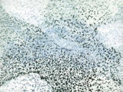 Katharina Bossmann, USA, Towards The Sea, 2021, multi-plate color etching, 46 x 58,5 cm