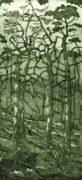 Gerhardt Gallagher, Ireland, Larches 2021, acquatint etching, 14 x 29 cm