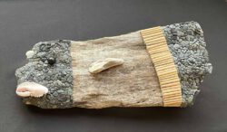 Joe De Haan, USA, Deep Sea Stranger, 2024, assemblage using found seashore objects, 53 x 25 x 5 cm