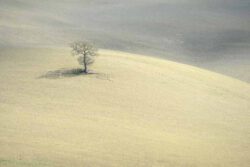 Yvan Bedard, Canada, Serenity, 2015, fine art photograph - limited edition of 10, 66 x 102 cm